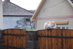 Fél évesek vagyunk