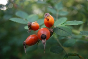 Fél évesek vagyunk