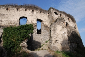 Fél évesek vagyunk