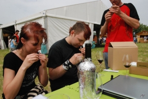 Első Somlói Tavasz Fesztivál