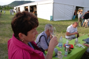 Első Somlói Tavasz Fesztivál