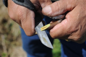 Mexikóiak dolgoztak Eger „szent hegyén”