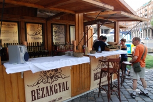 Badacsonyi Borfesztivál 2008.