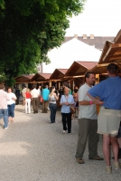 Badacsonyi Borfesztivál 2008.