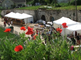 Etyeki Pincefesztivál 2008.