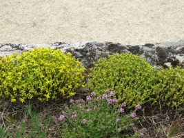 Etyeki Pincefesztivál 2008.