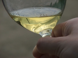 Etyeki Pincefesztivál 2008.