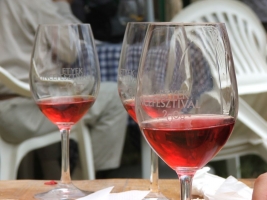 Etyeki Pincefesztivál 2008.