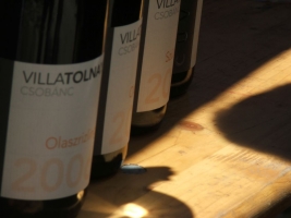 Etyeki Pincefesztivál 2008.