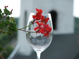 Etyeki Pincefesztivál 2008.