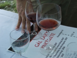 Etyeki Pincefesztivál 2008.