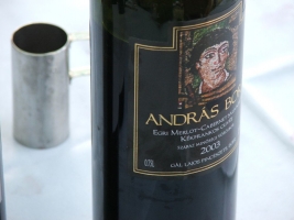 Etyeki Pincefesztivál 2008.