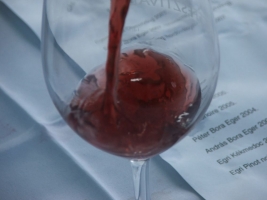 Etyeki Pincefesztivál 2008.