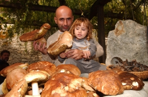 Ráspi és a vargánya