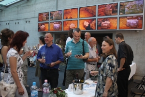 Pannon Borrégió TOP 25