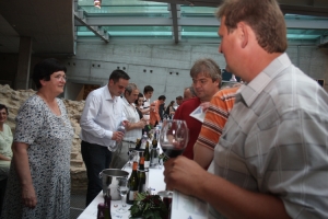 Pannon Borrégió TOP 25