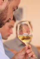 Pannon Borrégió TOP 25