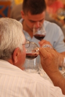 Pannon Borrégió TOP 25