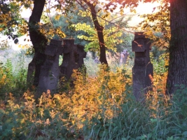 Budajenői Borünnep