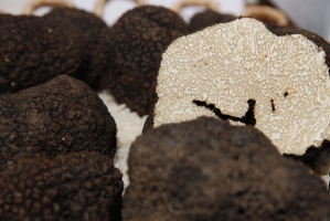 A Magyarok Nagy Asztala 2008