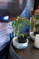 A Magyarok Nagy Asztala 2008