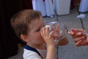 Egri Bikavér Ünnep 2008