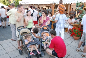 Egri Bikavér Ünnep 2008