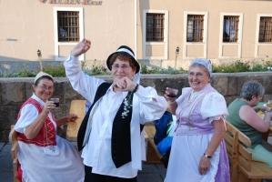 Egri Bikavér Ünnep 2008