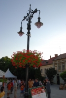 Egri Bikavér Ünnep 2008