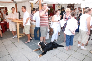 Egri Bikavér Ünnep 2008