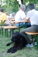 A kilencedik Balatonboglári Jazz és Bor fesztiválon jártunk