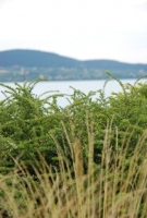 Badacsonyi Borhetek 2008