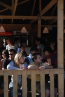 Életérzés és bor a Szigeten 2008-ban