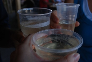 Életérzés és bor a Szigeten 2008-ban