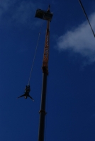 Életérzés és bor a Szigeten 2008-ban