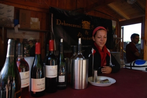 Életérzés és bor a Szigeten 2008-ban