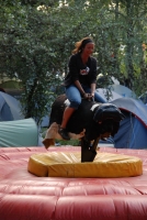 Életérzés és bor a Szigeten 2008-ban