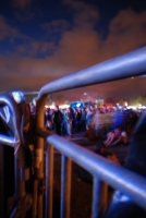 Életérzés és bor a Szigeten 2008-ban