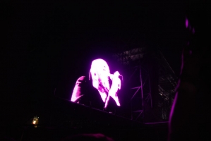 Életérzés és bor a Szigeten 2008-ban