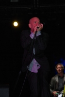 Életérzés és bor a Szigeten 2008-ban