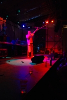 Életérzés és bor a Szigeten 2008-ban