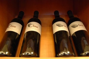 Újdonságok a Terroir Clubban