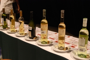 Beszámoló a VinAgora Borgálájáról