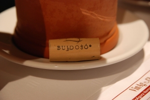 Beszámoló a VinAgora Borgálájáról