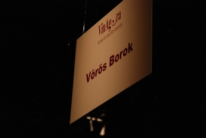 Beszámoló a VinAgora Borgálájáról