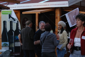 Életképek a 2008-as borfesztiválról (1. rész)