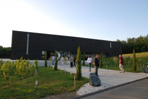 Egy éjszaka alatt a távoli világ körül