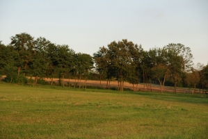 Egy éjszaka alatt a távoli világ körül