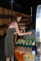 Egy éjszaka alatt a távoli világ körül