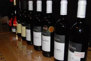 Egy éjszaka alatt a távoli világ körül